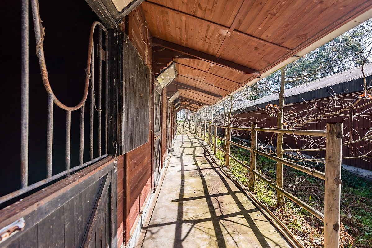 listing-picture-0