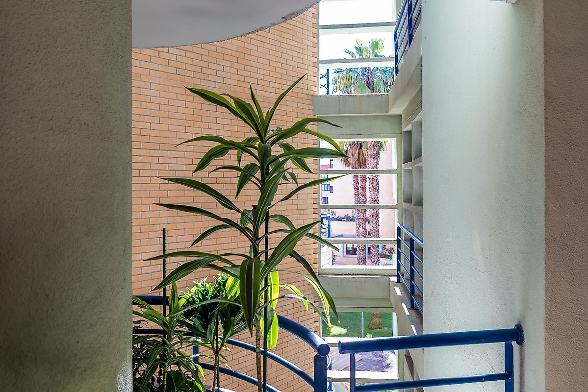 listing 124151096-44 picture-0