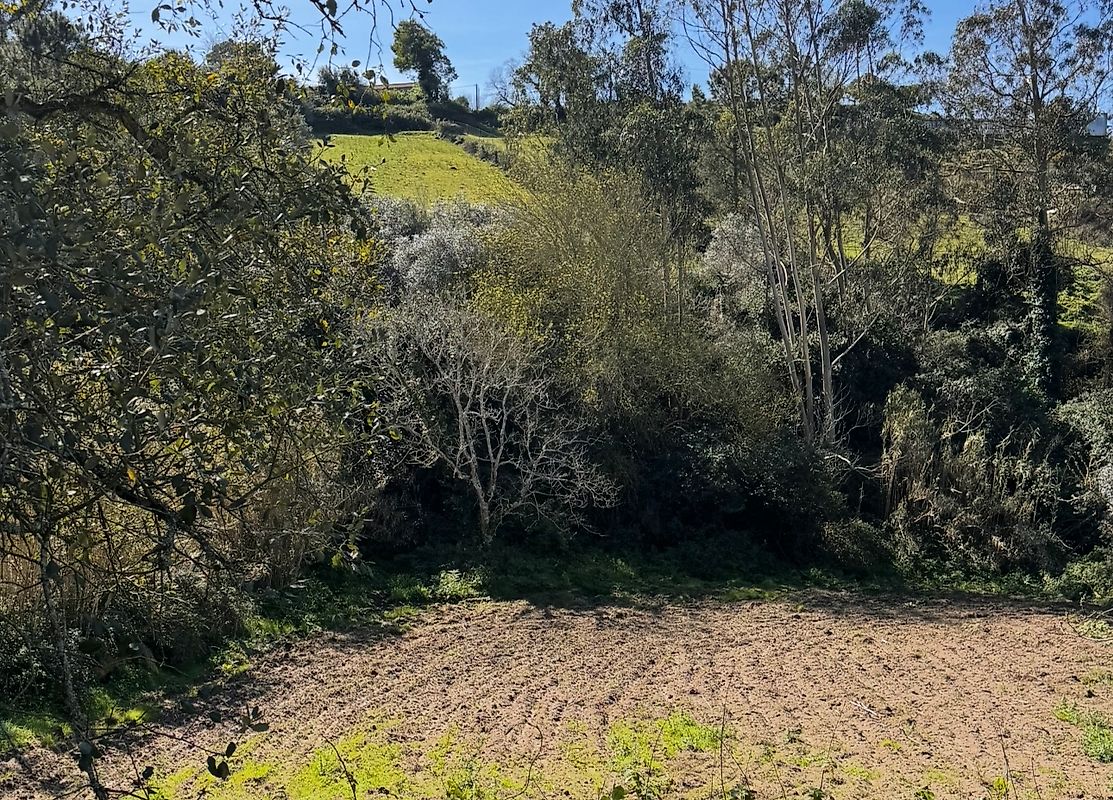 Terreno  à venda em Mafra