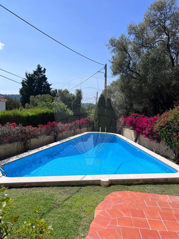 listing 124151244-3 picture-0