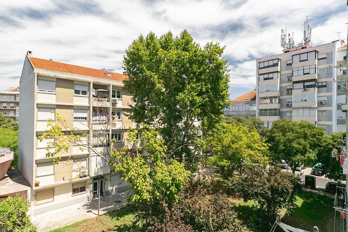 listing 124151276-1 picture-0