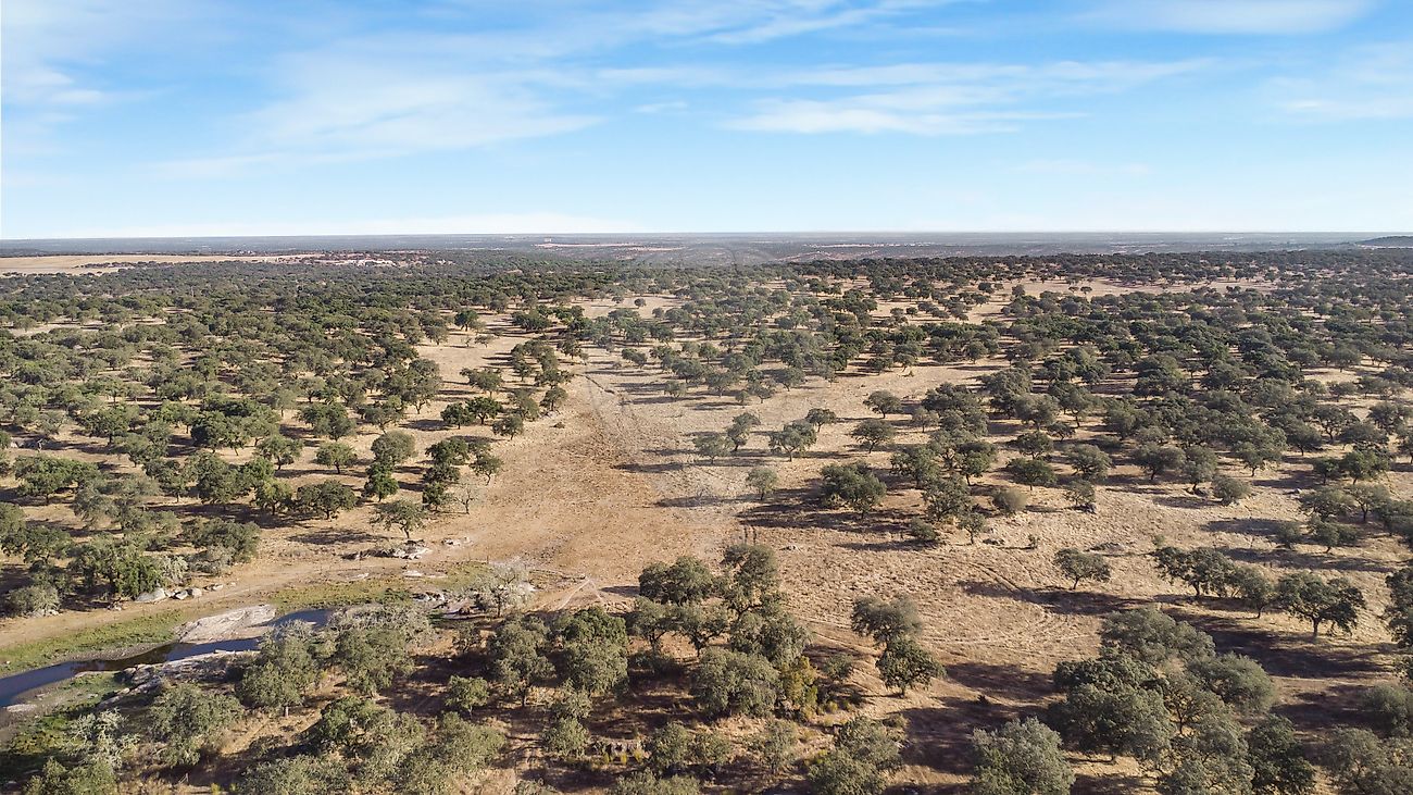 Herdade para venda