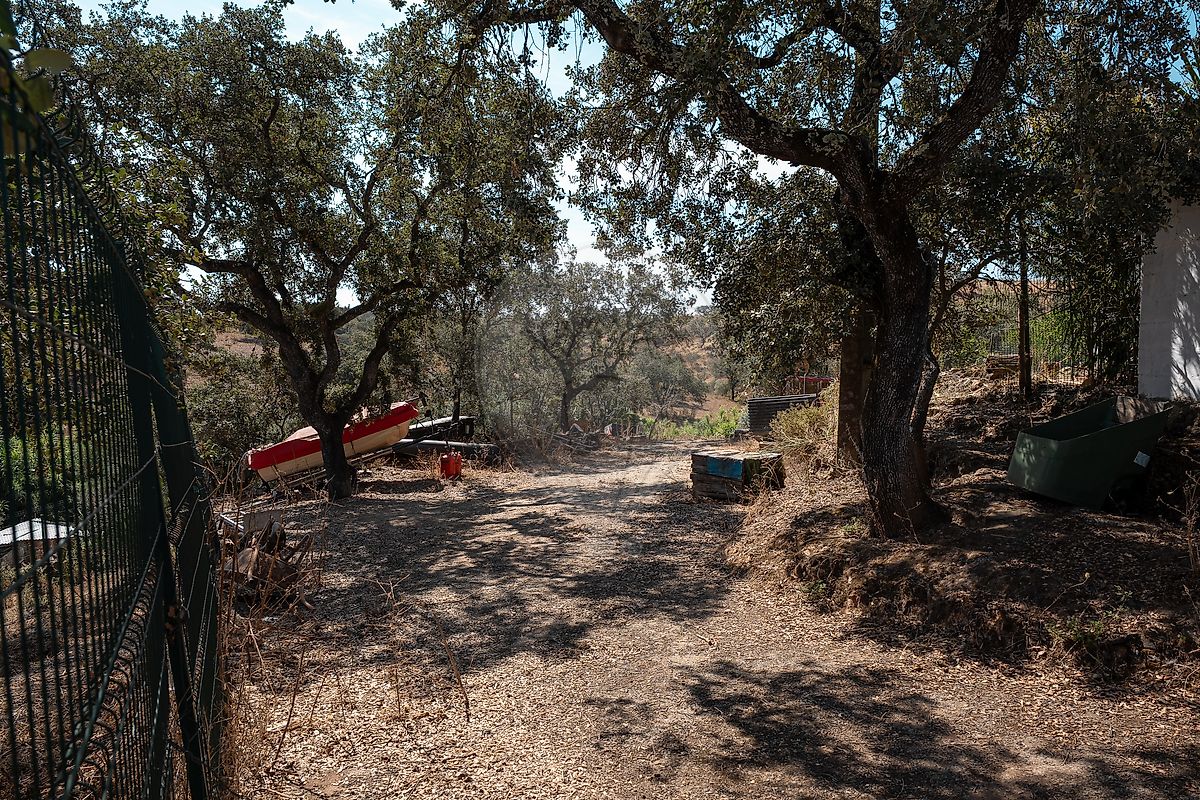 Moradia T4 à venda em Ourique, Ourique — foto 34