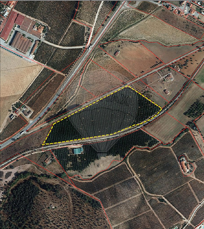 Terreno à venda em Estremoz