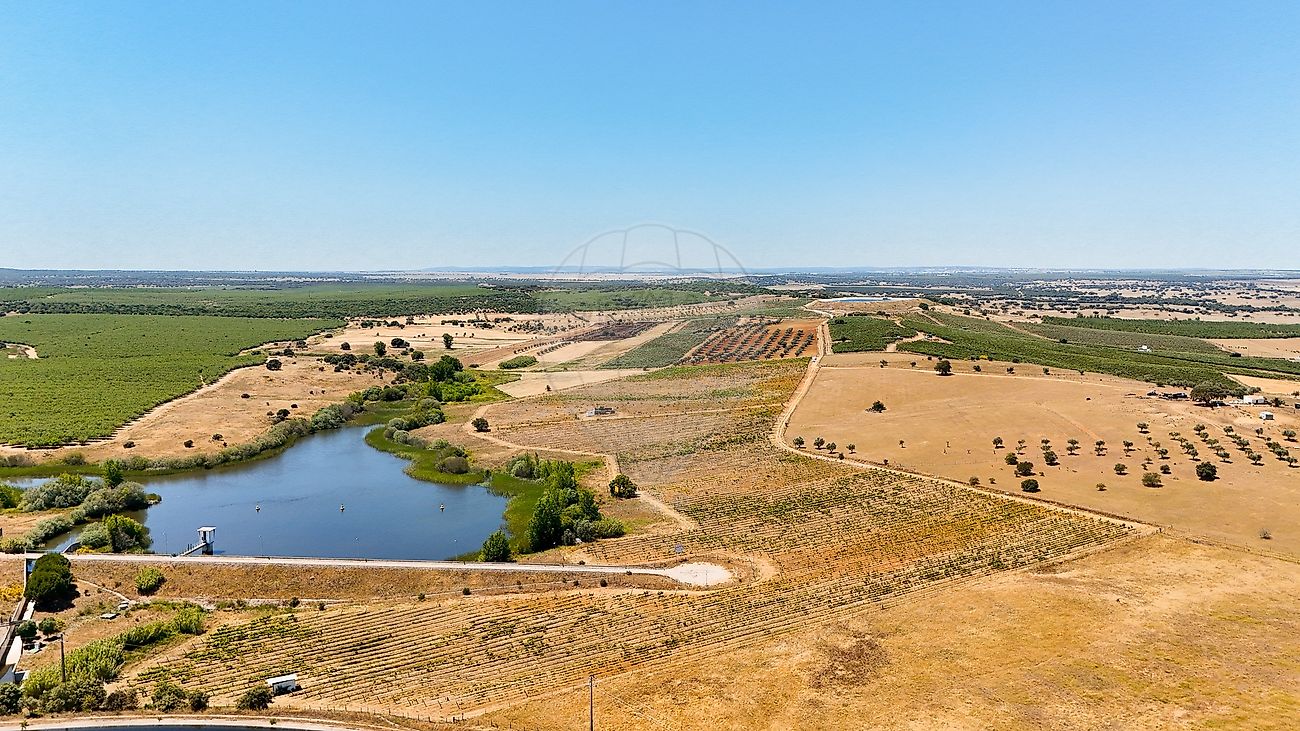 Terreno - São Manços e São Vicente do Pigeiro, Évora, Évora