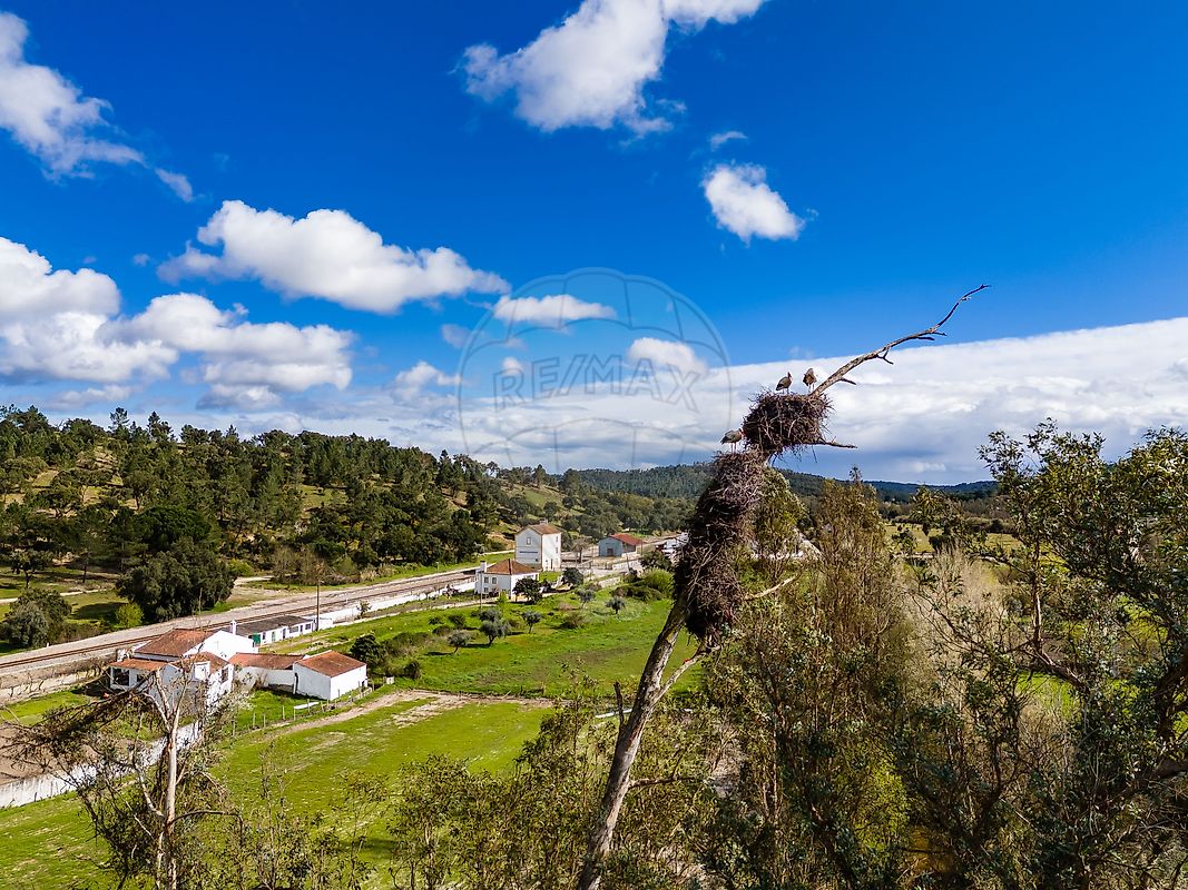 Moradia T1 à venda em Bemposta, Abrantes — foto 7