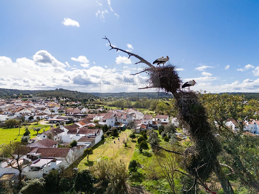 Moradia T1 à venda em Bemposta, Abrantes — foto 6