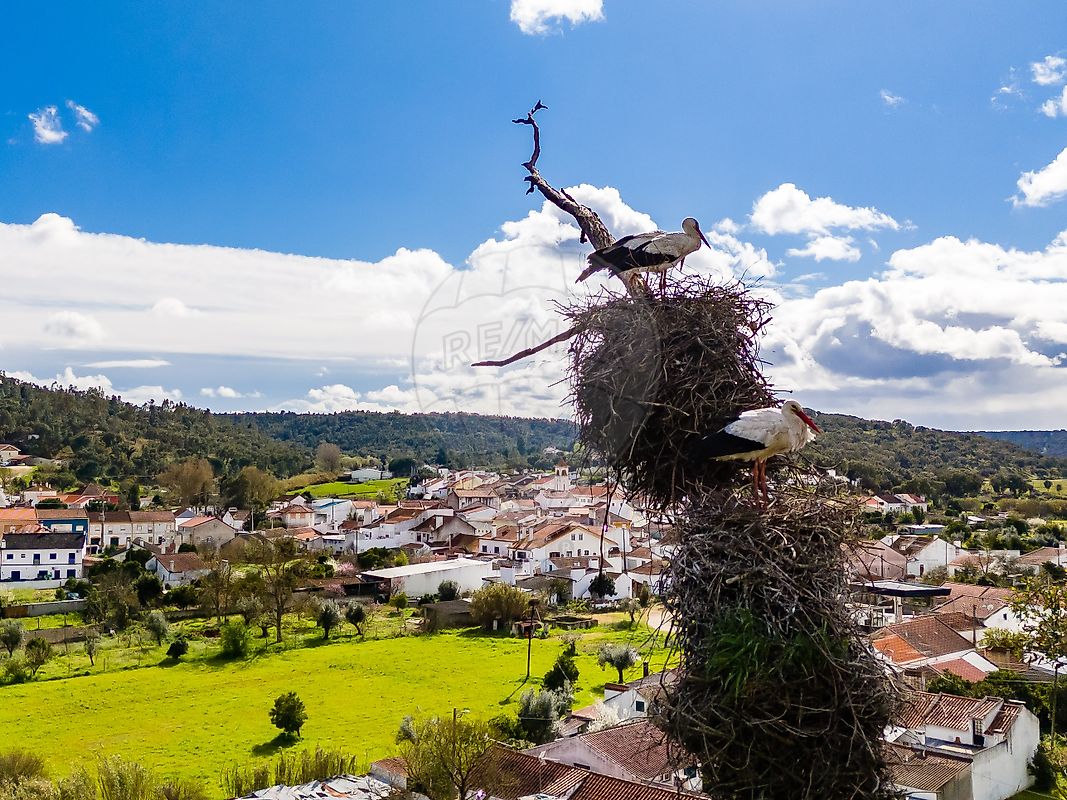 Moradia T1 à venda em Bemposta, Abrantes — foto 9