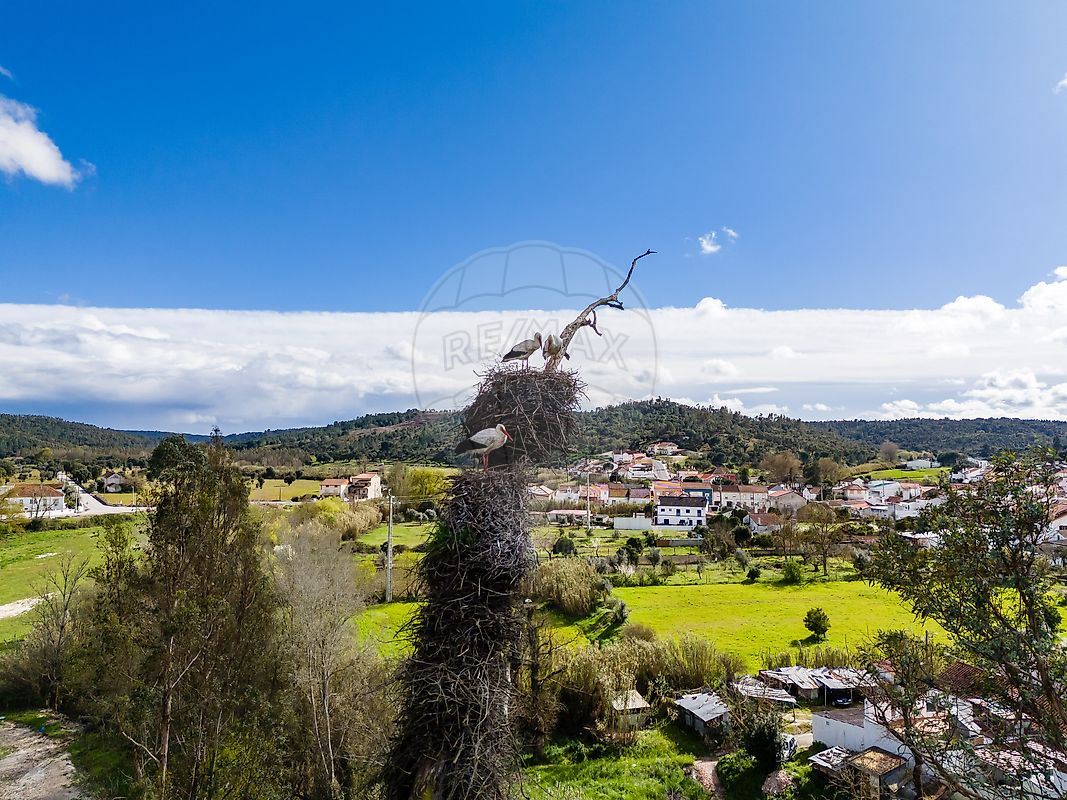 Moradia T1 à venda em Bemposta, Abrantes — foto 8