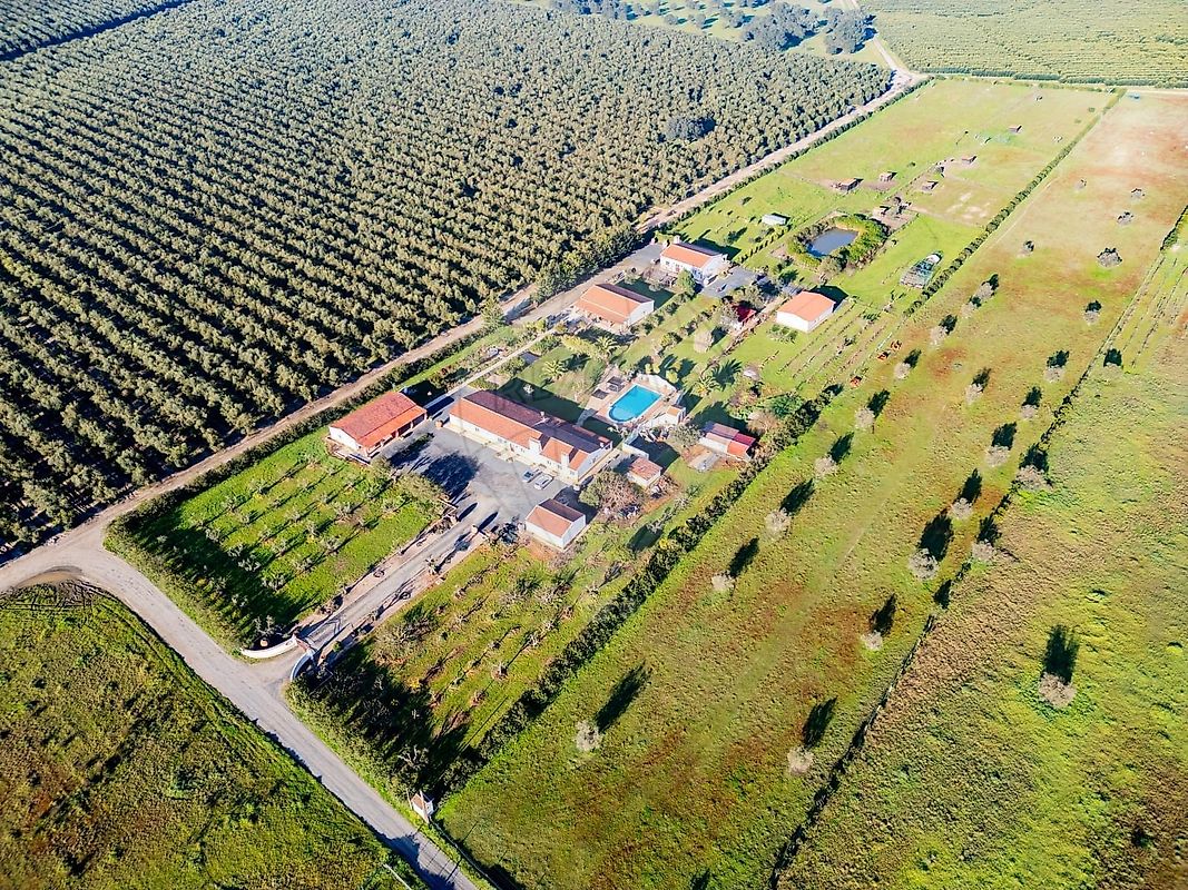 Apartamento T15 à venda em Ferreira do Alentejo