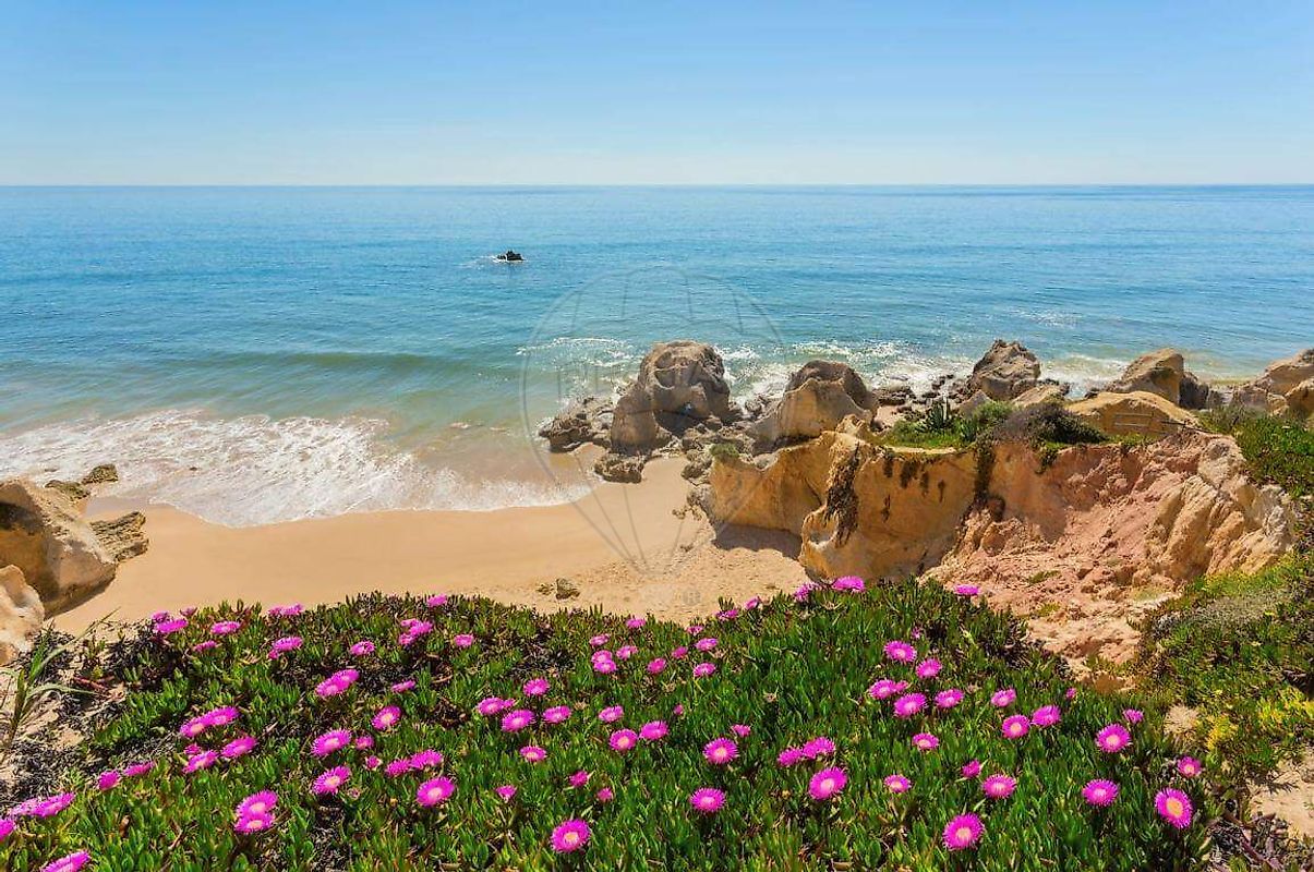 Apartamento - Guia, Albufeira, Faro