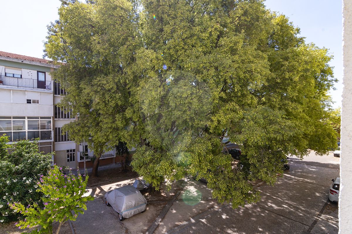 Apartamento T3 à venda em Olivais, Lisboa — foto 17