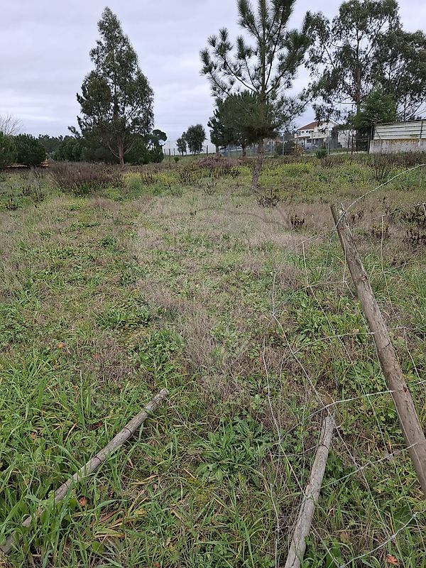 Terreno para venda