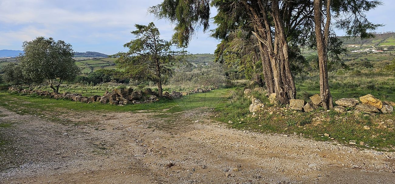 Terreno  à venda em Mafra