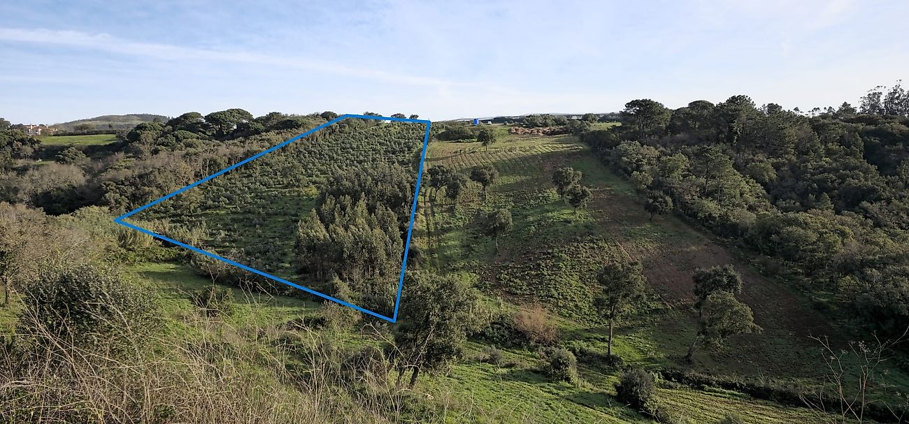 Terreno  à venda em Mafra