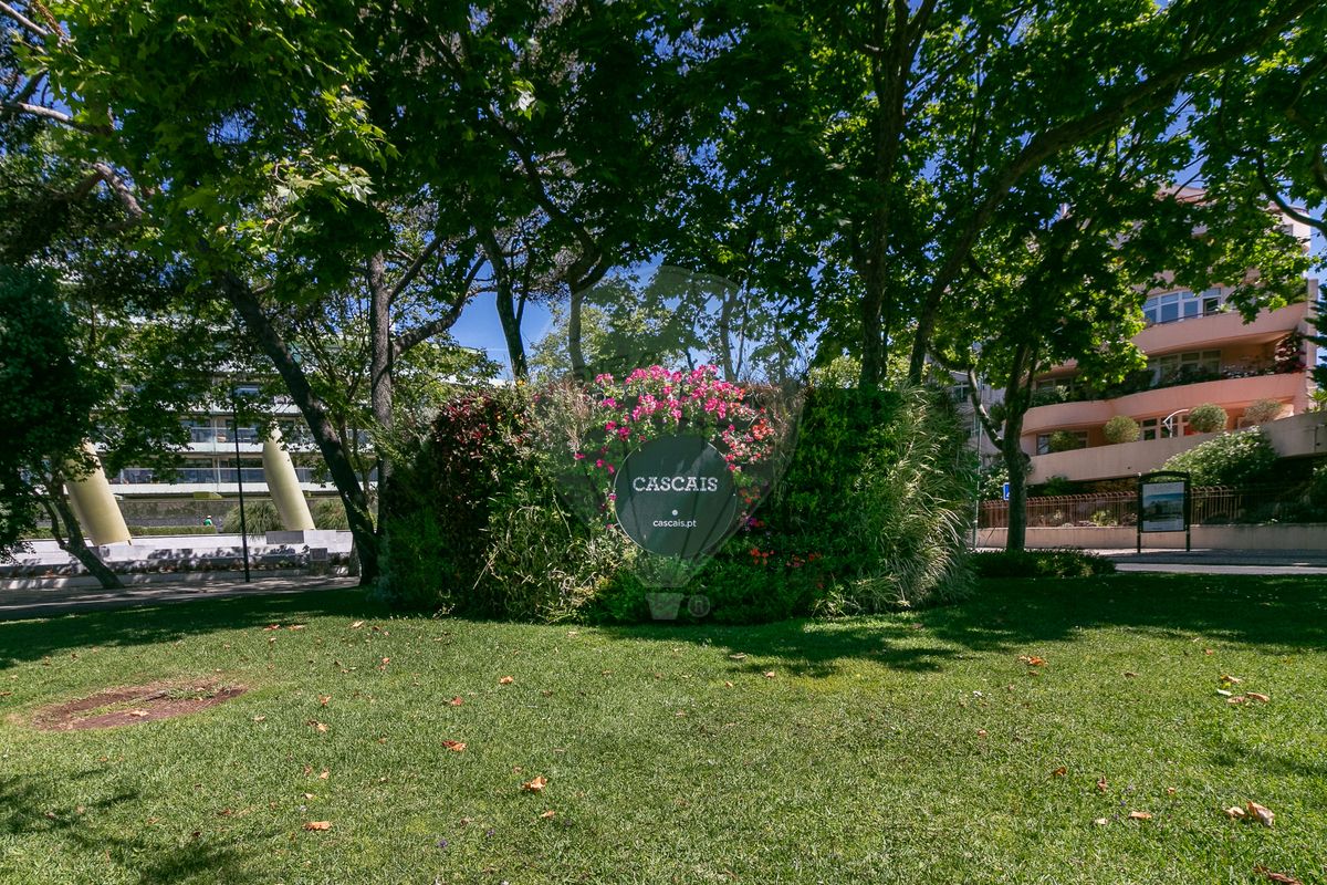 listing 124161217-38 picture-0