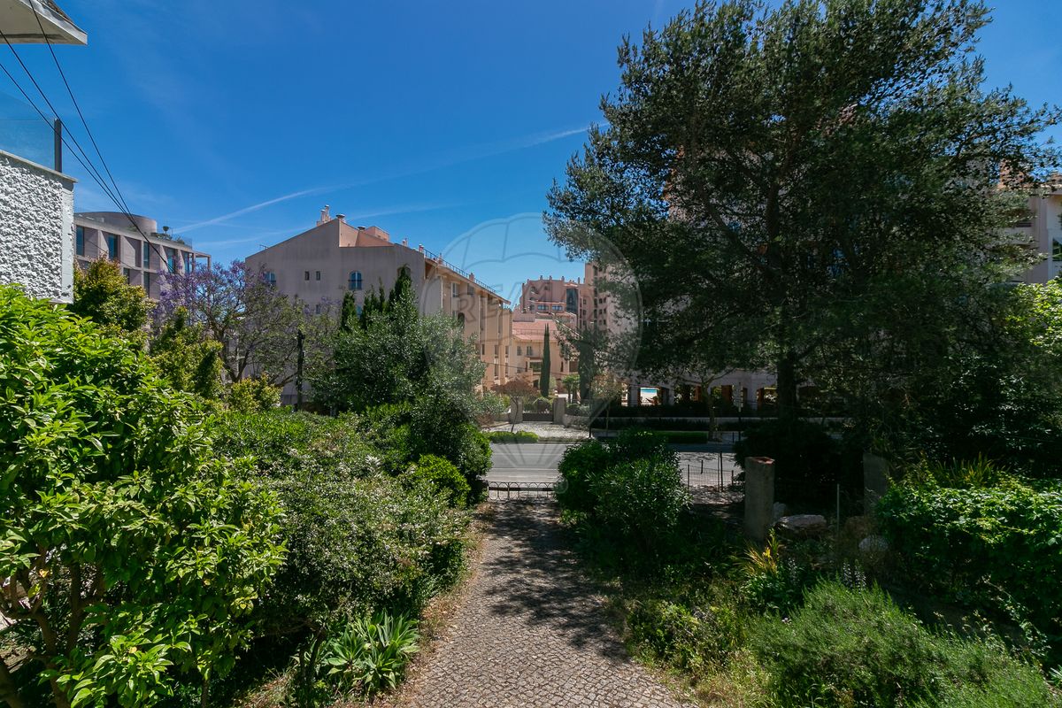 listing 124161217-38 picture-0