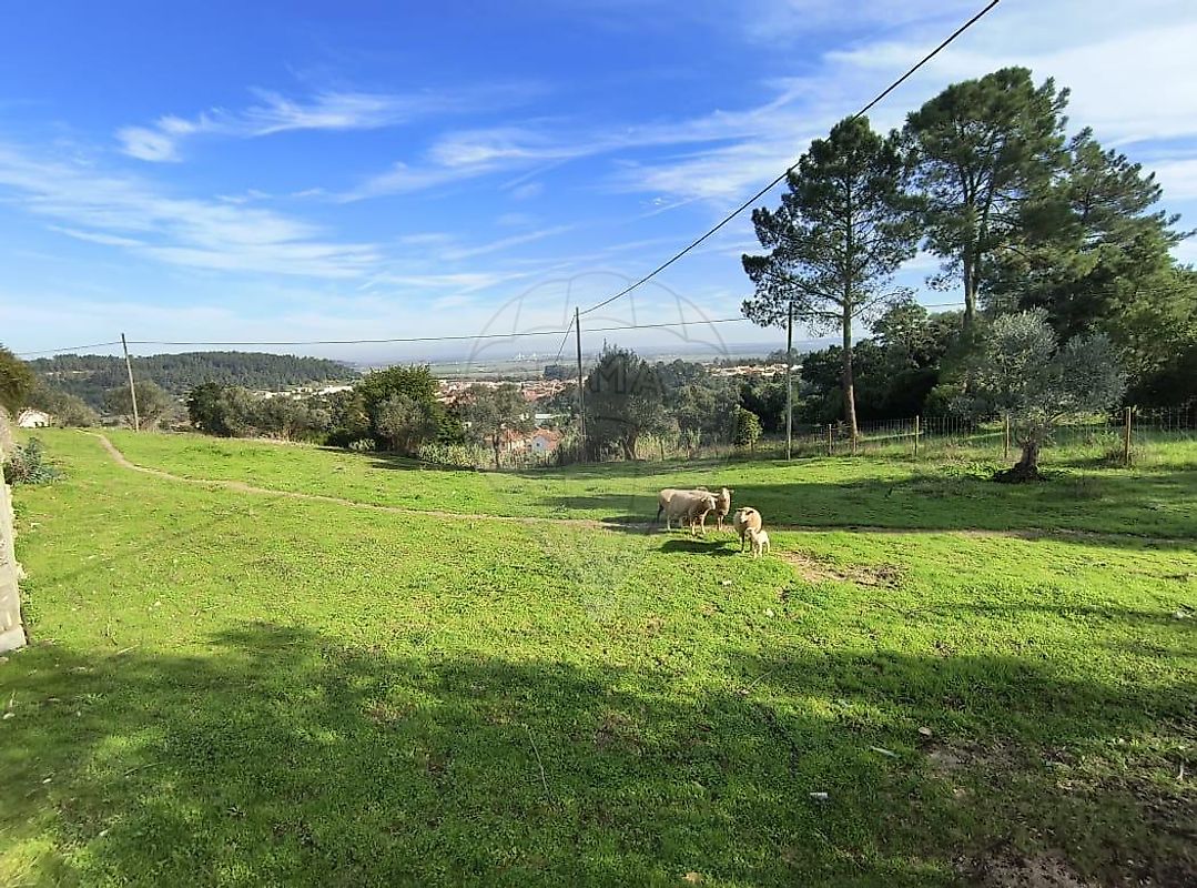 Terreno - Vale de Santarém, Santarém, Santarém