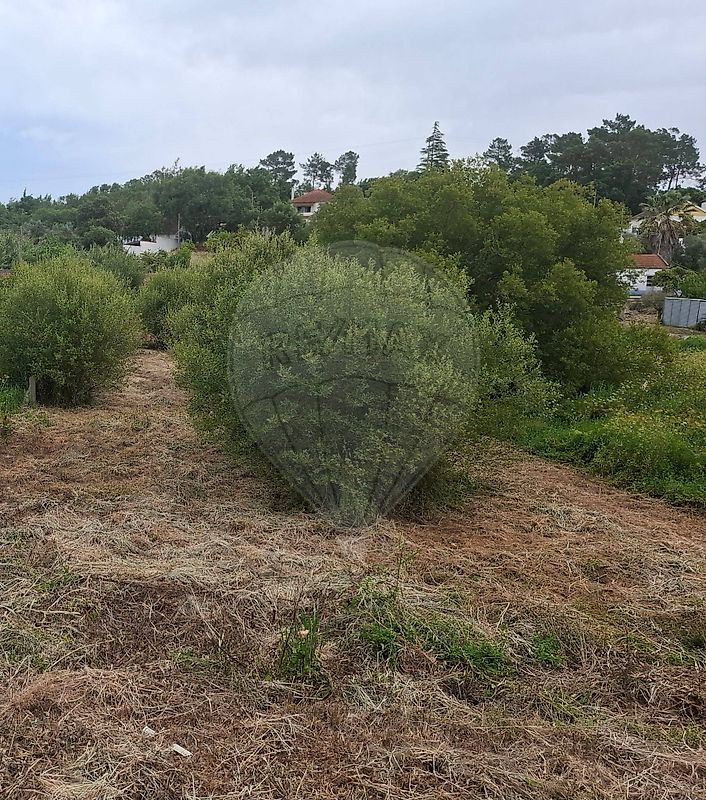 Terreno - Vale de Santarém, Santarém, Santarém