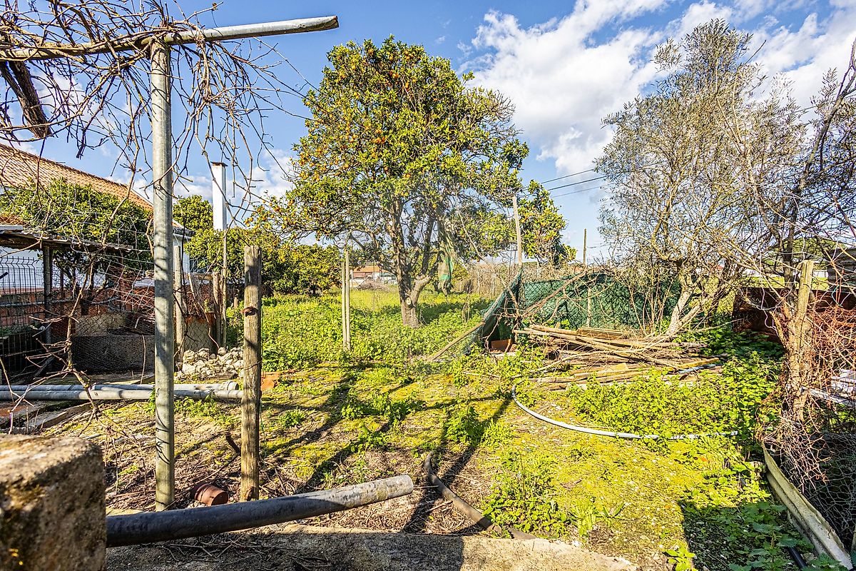 Moradia T2 à venda em Almoster, Santarém — foto 32