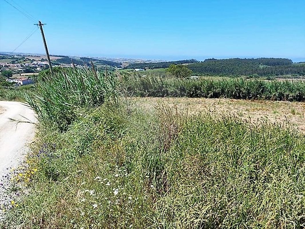Terreno  à venda em Toxofal de Cima