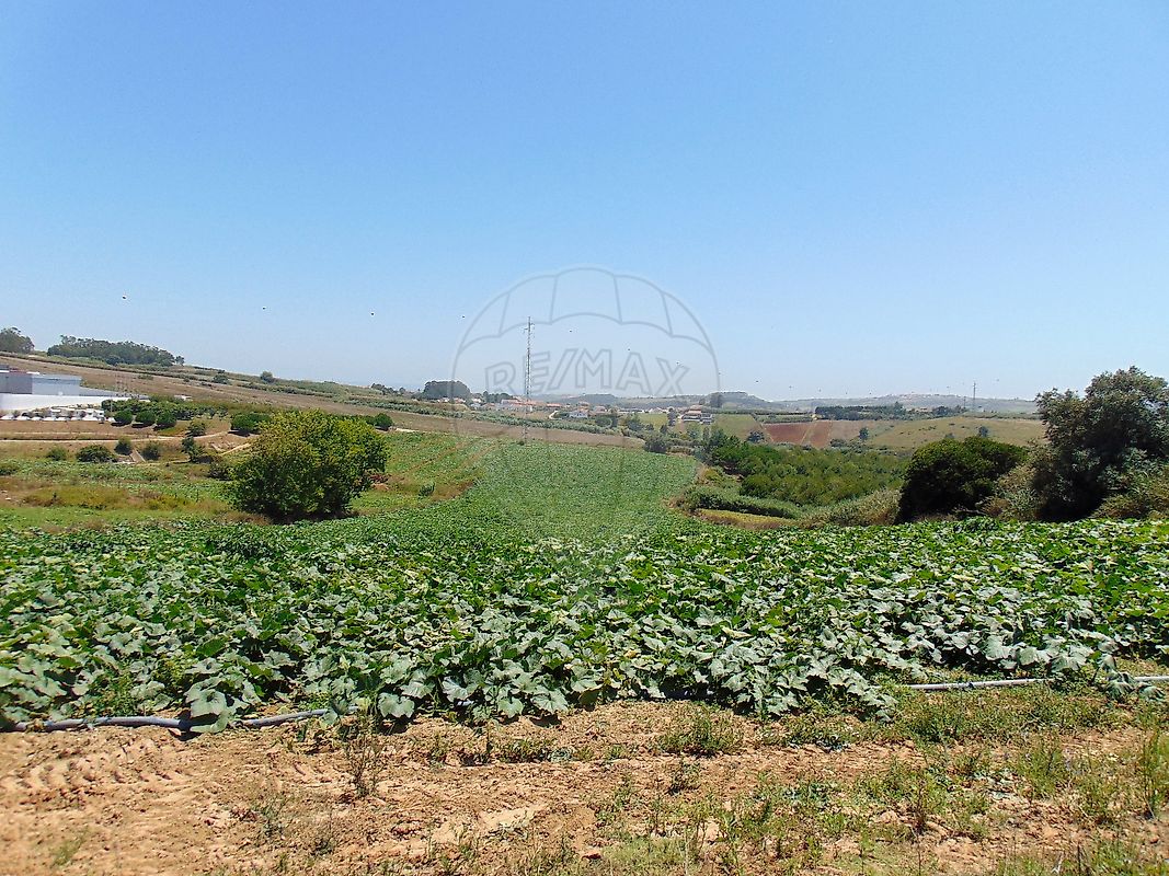 Terreno  à venda em Casal Vale Geőes