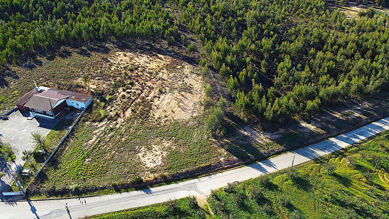 Terreno  à venda em Olho Polido