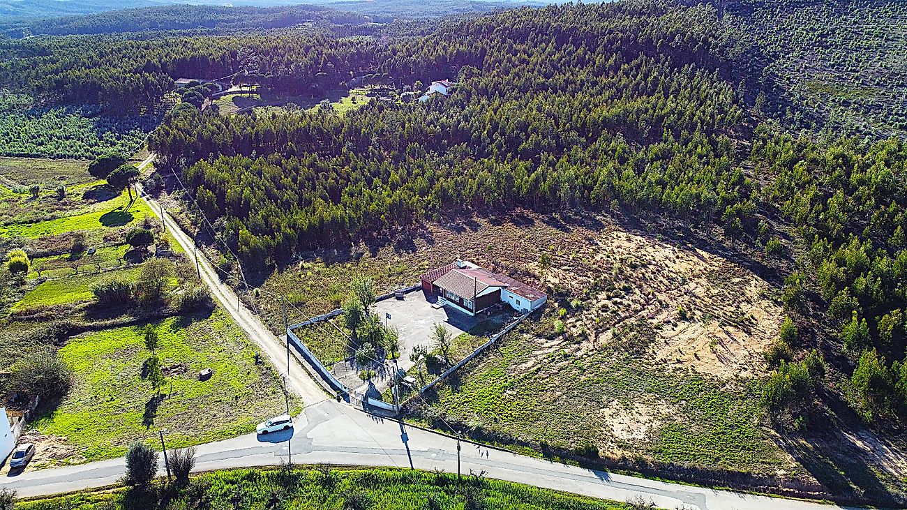 Terreno  à venda em Olho Polido