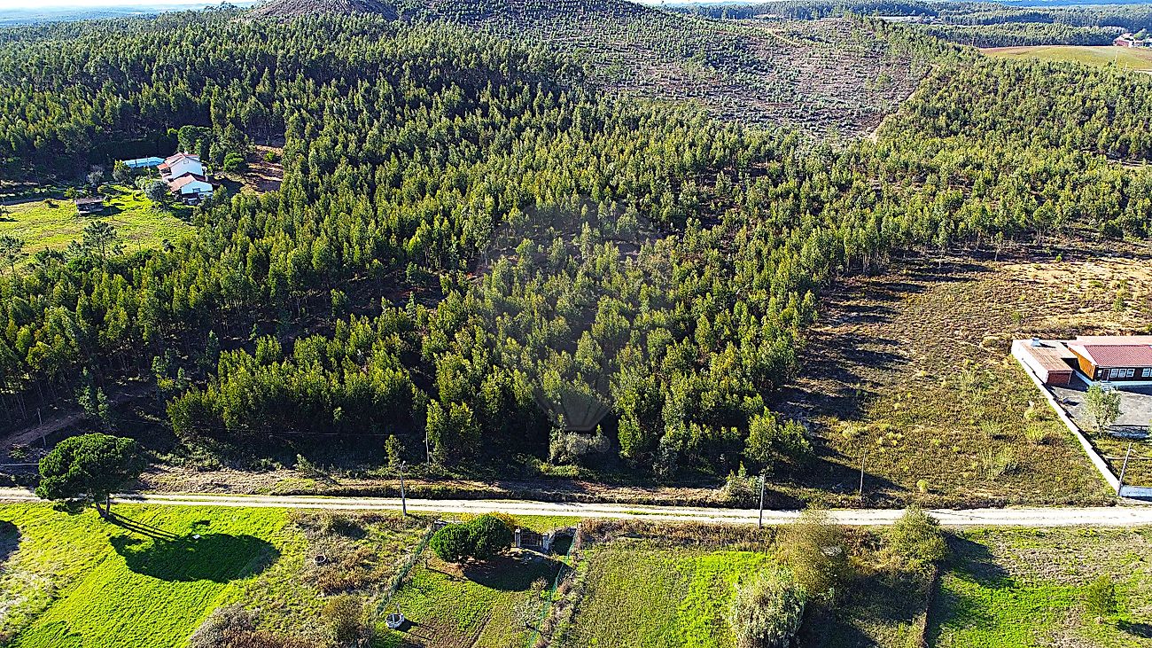 Terreno  à venda em Olho Polido