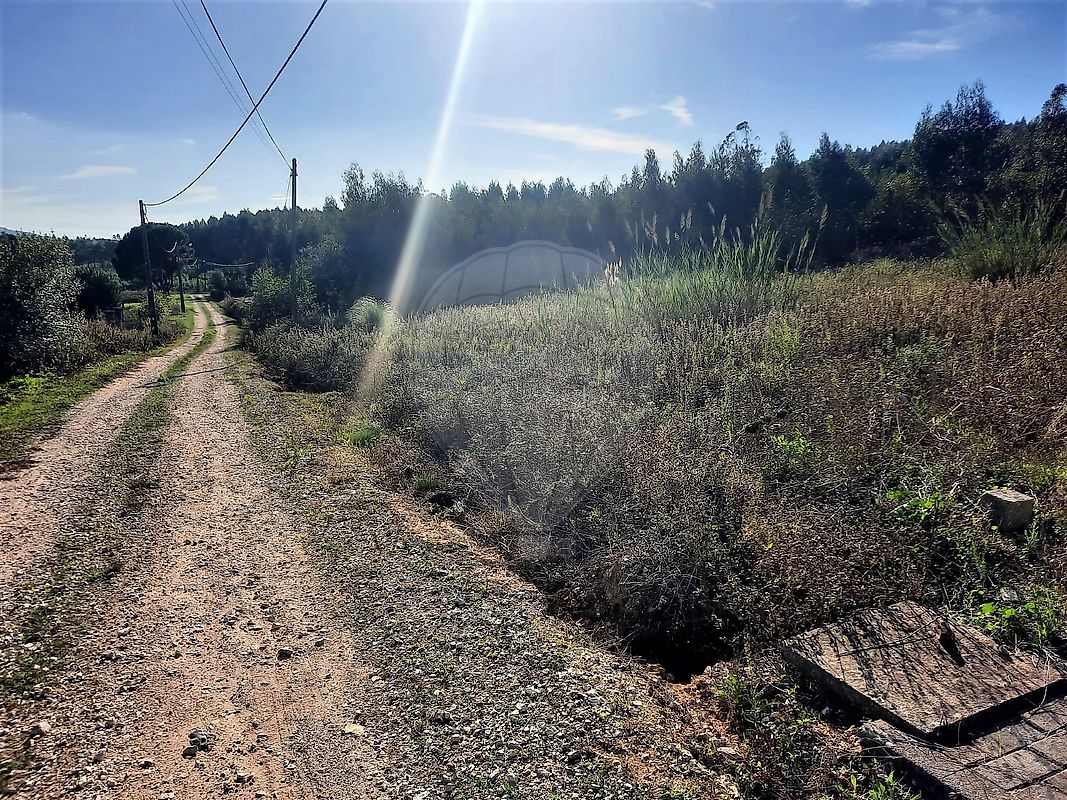 Terreno  à venda em Olho Polido