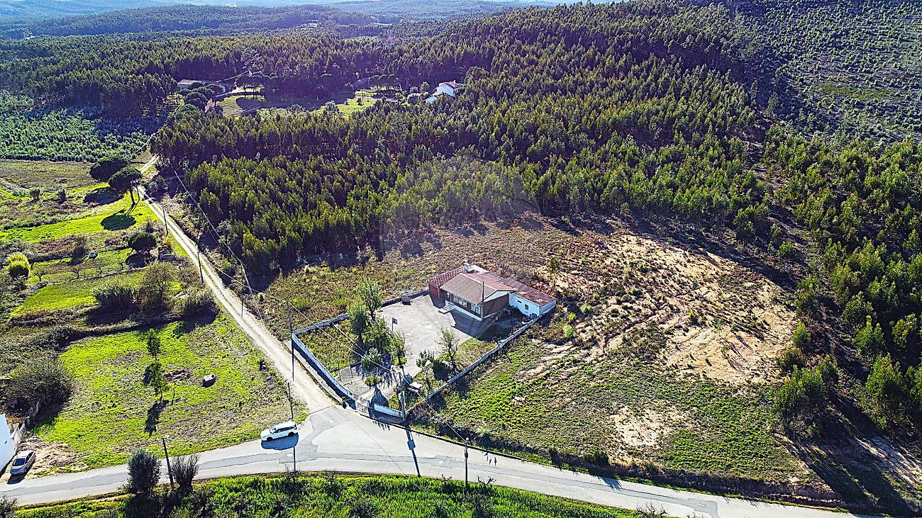 Terreno  à venda em Olho Polido