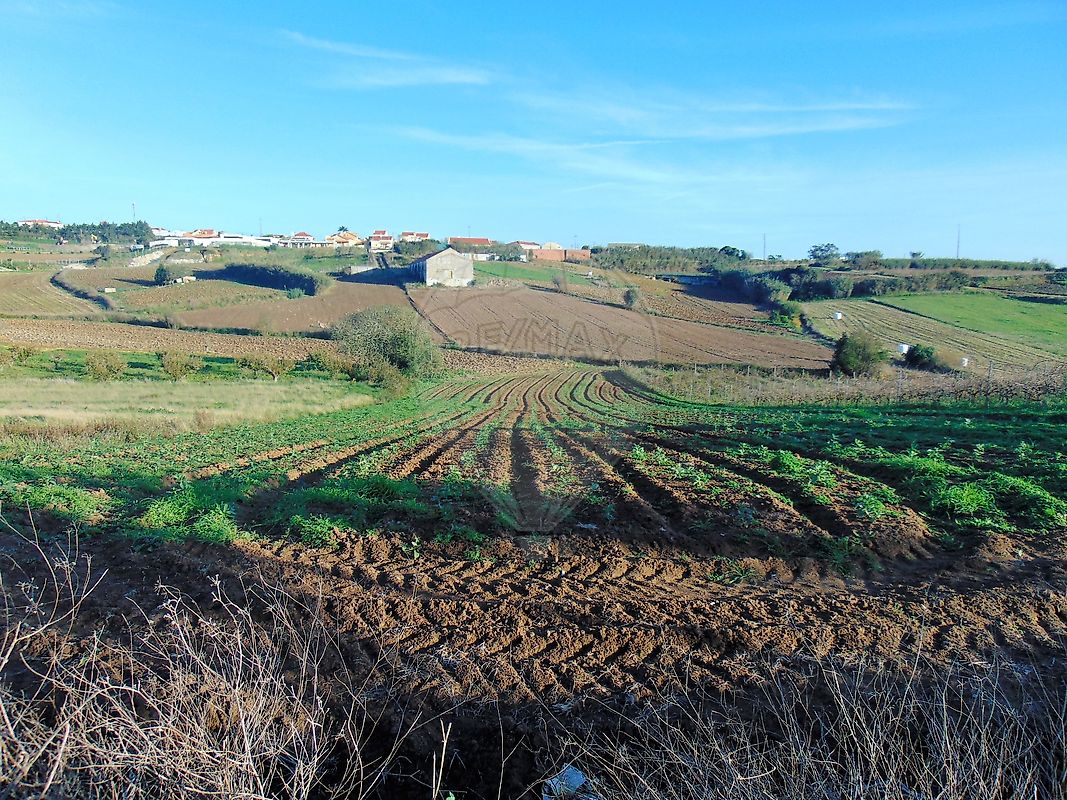 Terreno  à venda em Miragaia