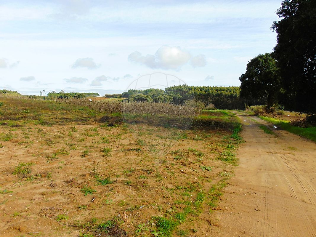 Terreno à venda em Lourinhã