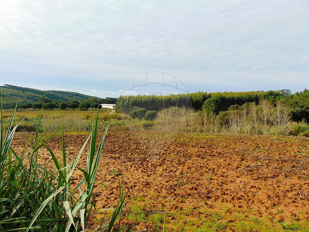 Terreno à venda em Lourinhã