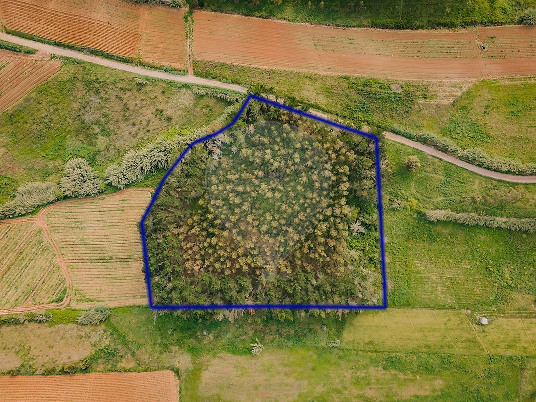 Terreno - Santa Bárbara, Lourinhã, Lisboa