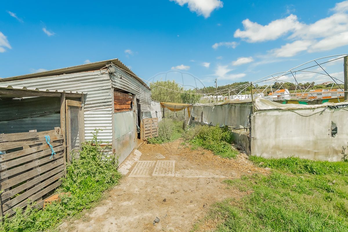 Moradia T5 à venda em Miragaia e Marteleira, Lourinhã — foto 22