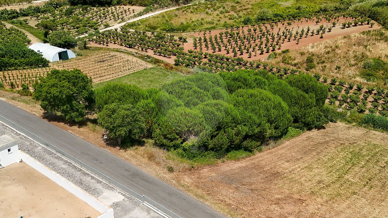 Apartamento à venda em Óbidos