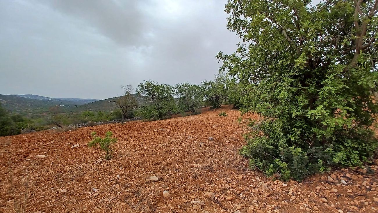 Terreno  à venda em Loulé