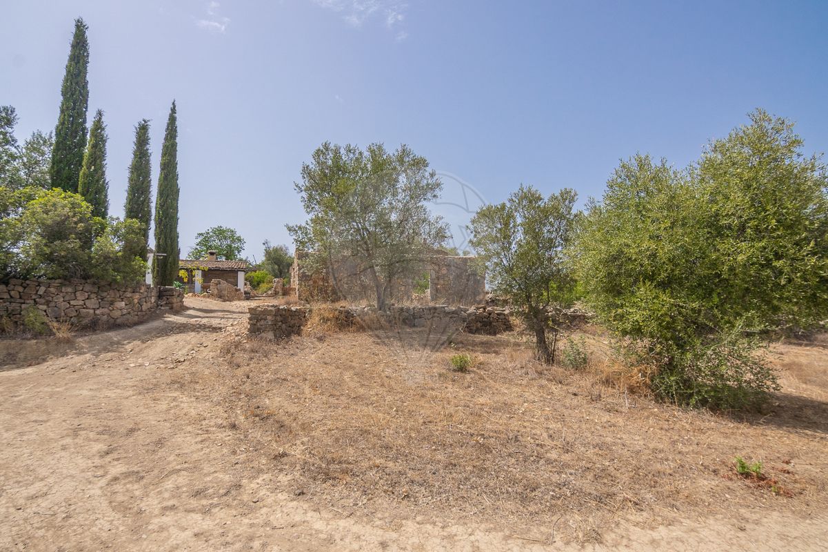 listing 123561184-7 picture-0