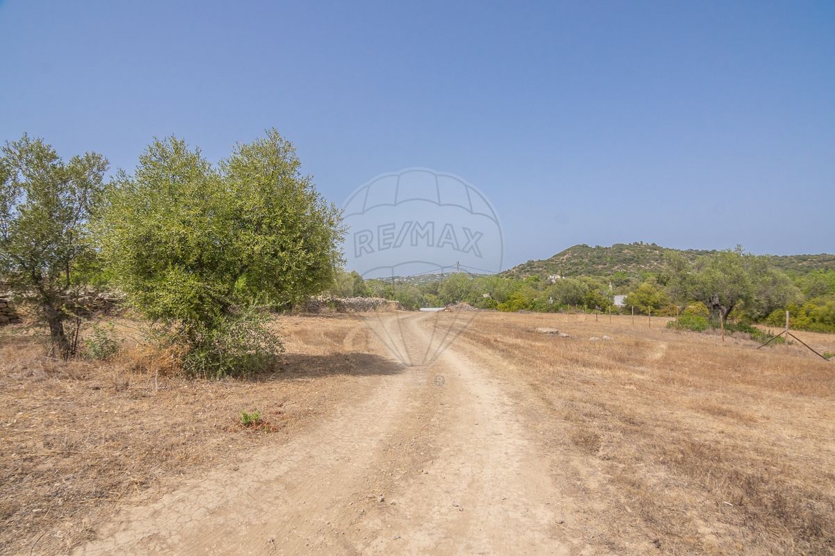 listing 123561184-7 picture-0
