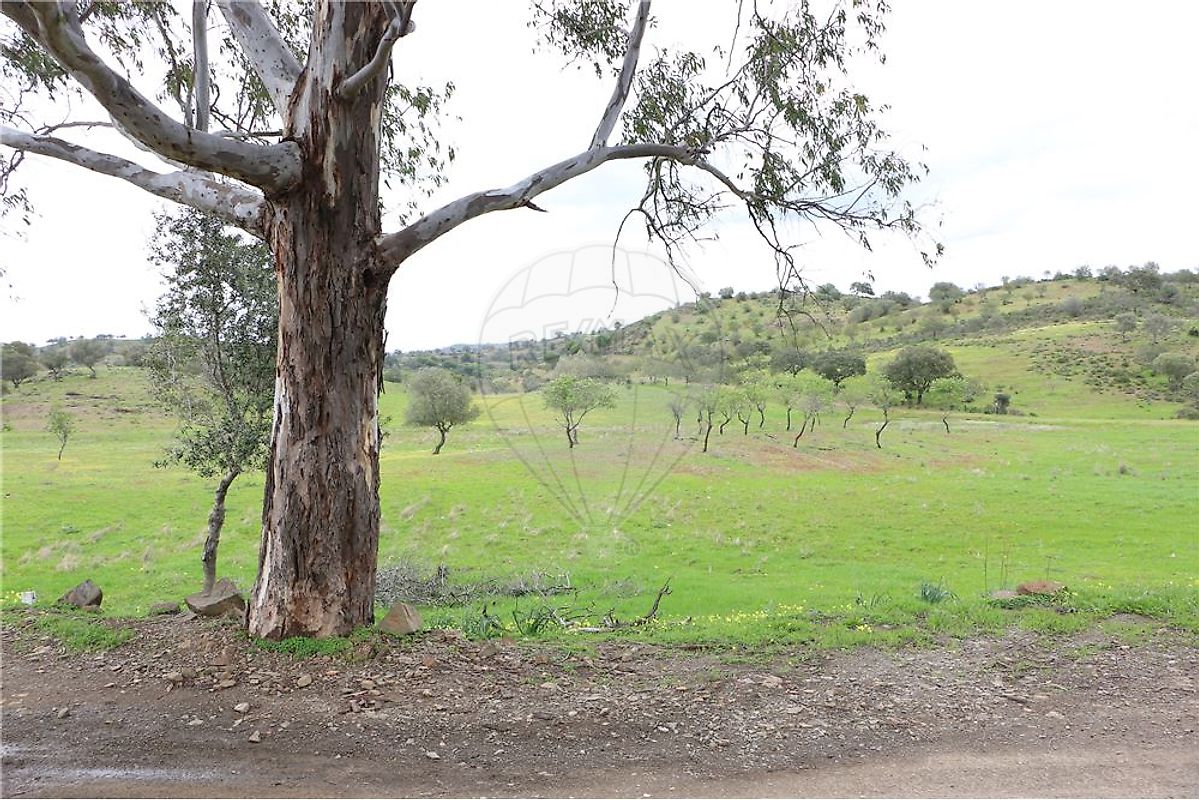 Terreno à venda em Castro Marim