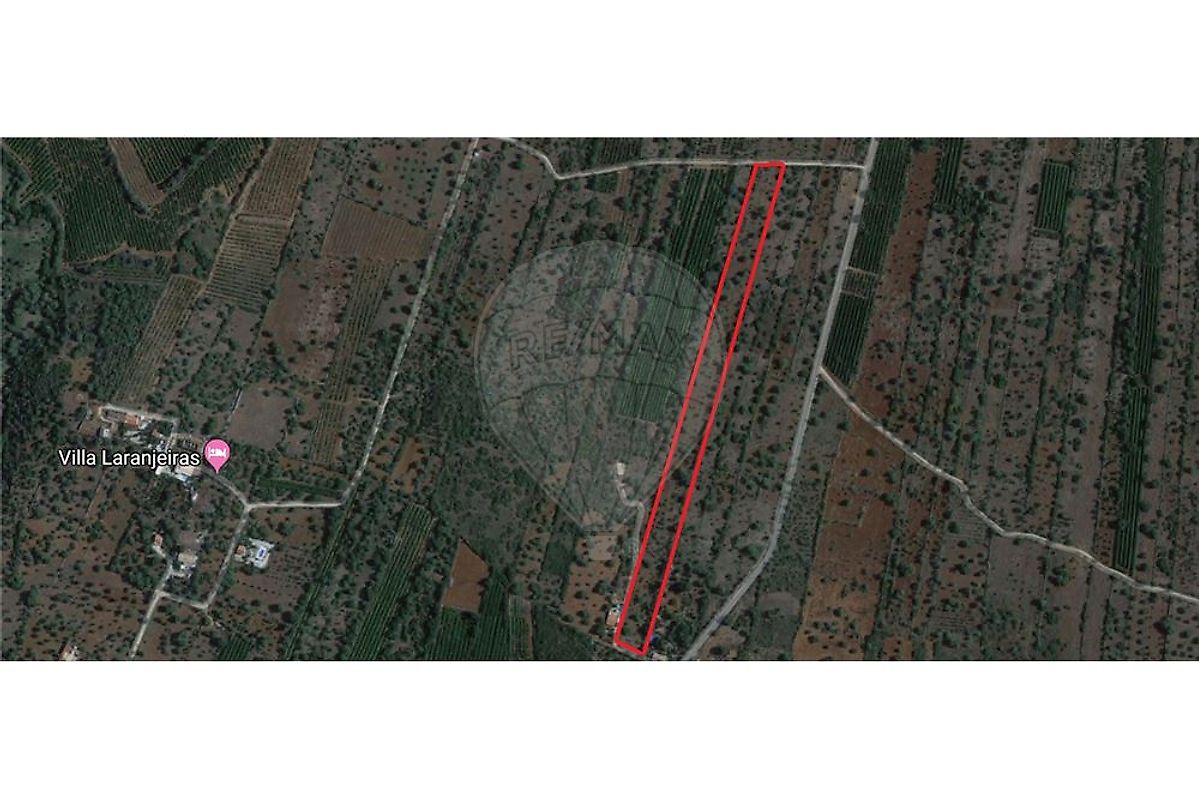 Terreno à venda em Monte Brito