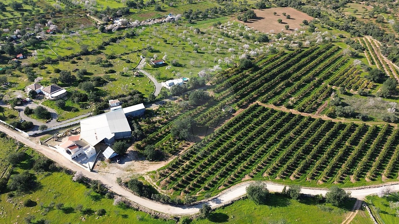 Quinta T3 à venda em Olhão