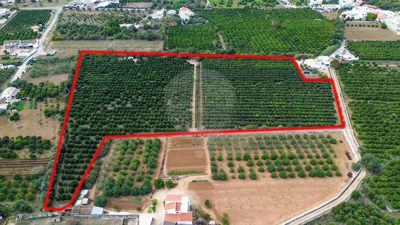 Terreno - Moncarapacho e Fuseta, Olhão, Faro