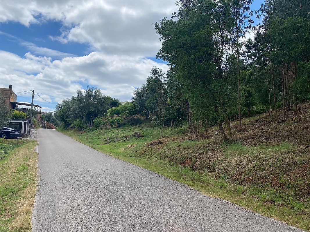 Terreno  à venda em Coimbra