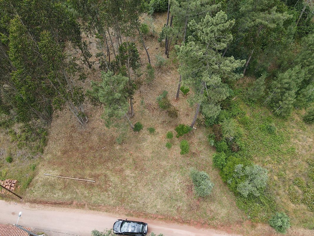Terreno  à venda em Coimbra