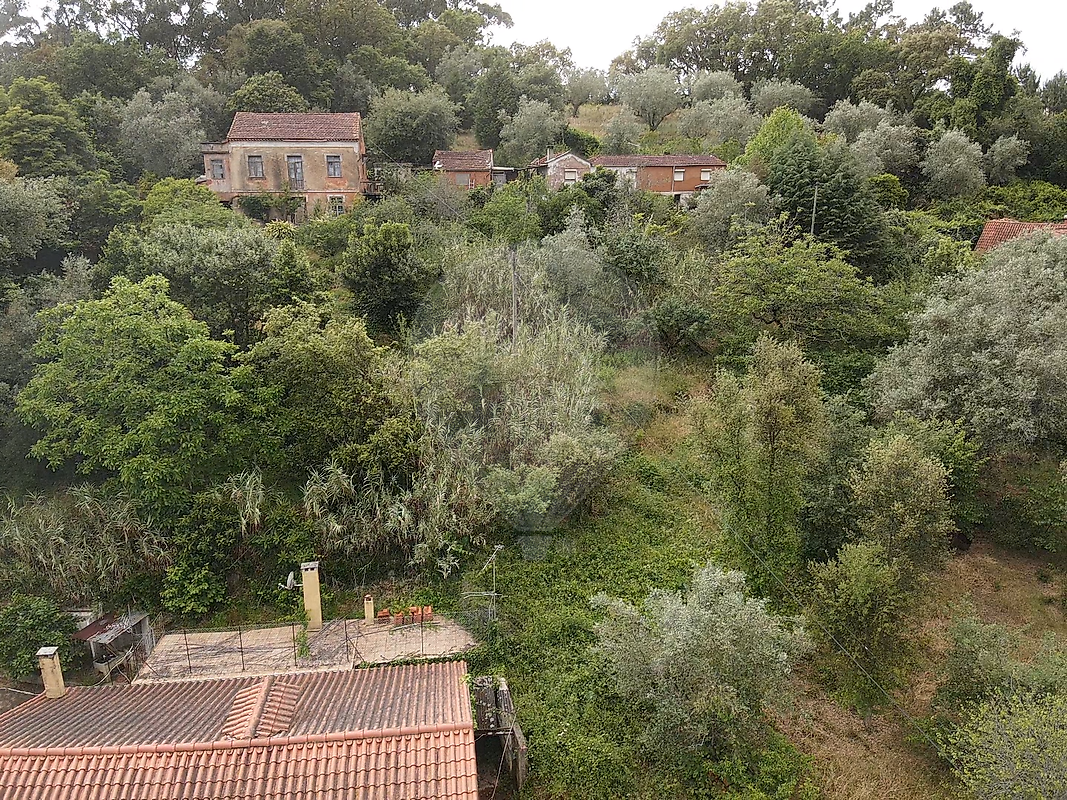 Moradia T4 à venda em Eiras e São Paulo de Frades, Coimbra — foto 6
