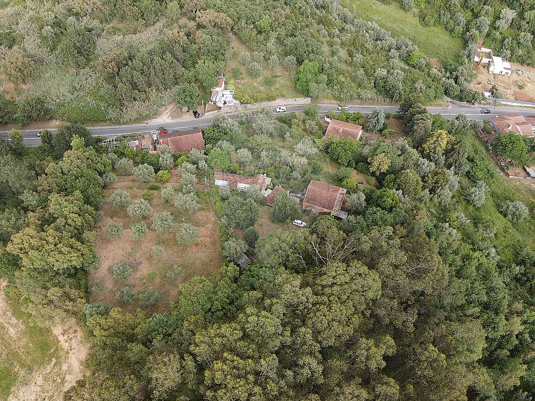 Moradia T4 à venda em Eiras e São Paulo de Frades, Coimbra — foto 7