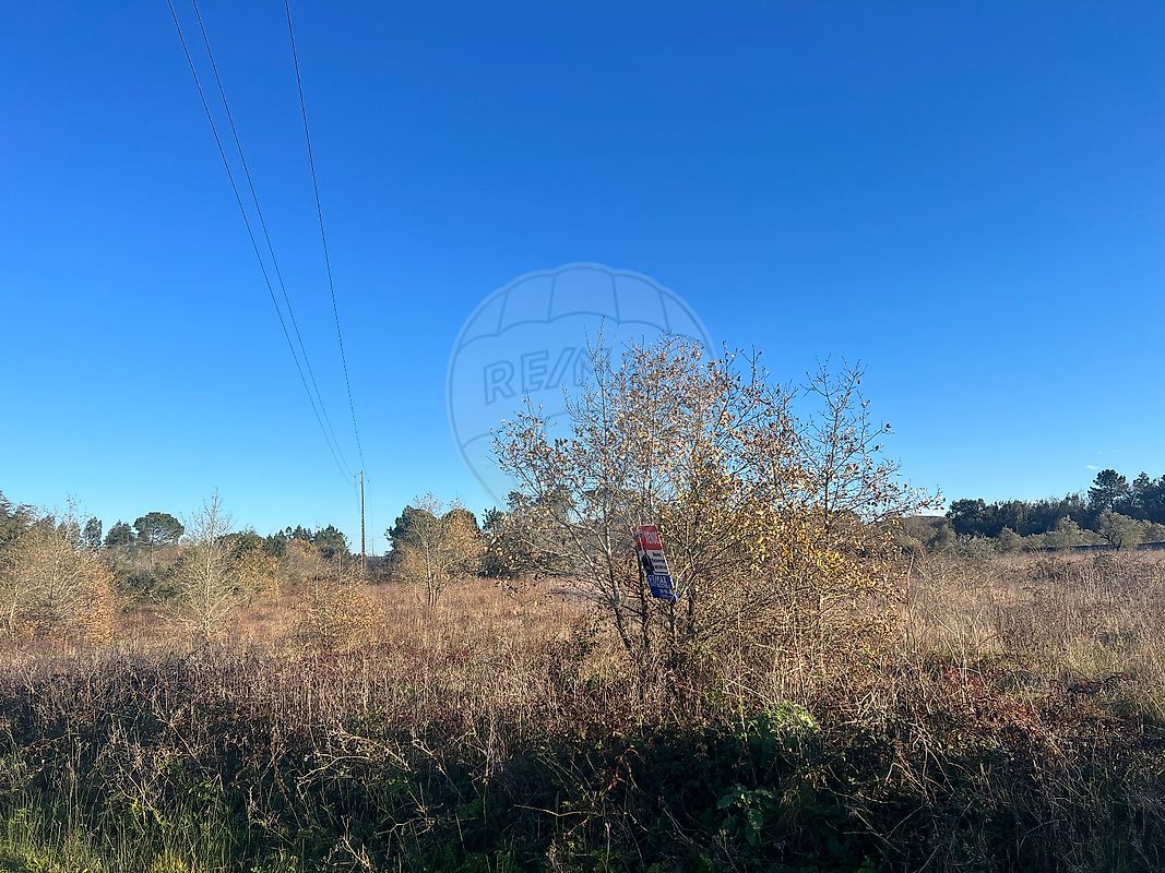 Terreno à venda em Condeixa-a-Nova