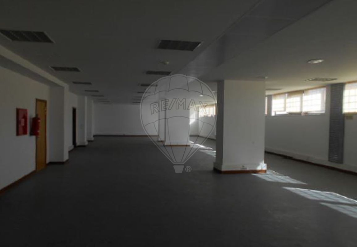 124231371-256